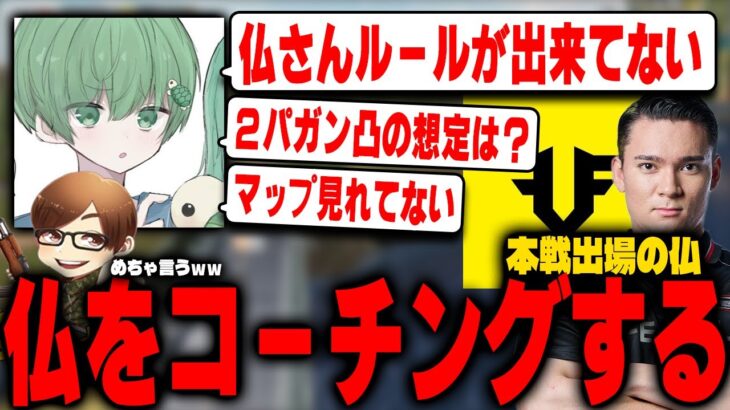 FFL本戦にSaberで出た仏を辛口コーチングするかめらこに笑うふぇいたん【荒野行動】