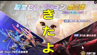 軍団活動「ミッション」【荒野行動】1737PC版「荒野の光」